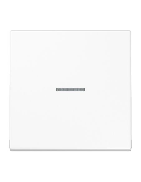 JUNGLS990KO5WW 1 kl. apdaila su indikatoriumi LS990 JUNG LS990KO5WW (balta) iš UAB SINTAS