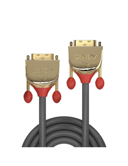 36202 CABLE DVI-DVI 2M/GOLD 36202 LINDY iš UAB SINTAS