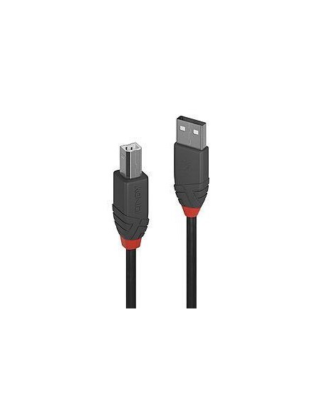 36677 CABLE USB2 A-B 10M/ANTHRA 36677 LINDY iš UAB SINTAS