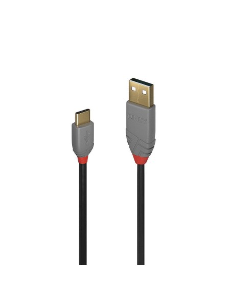 36886 CABLE USB2 C-A 1M/ANTHRA 36886 LINDY iš UAB SINTAS