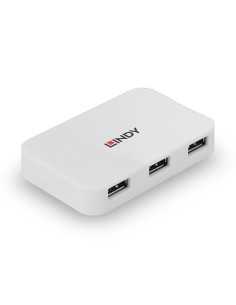 43143 I/O HUB USB3 4PORT/43143 LINDY iš UAB SINTAS