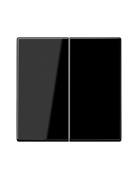 JUNGLS995SW 2 kl. apdaila LS990 JUNG LS995SW (juoda) iš UAB SINTAS