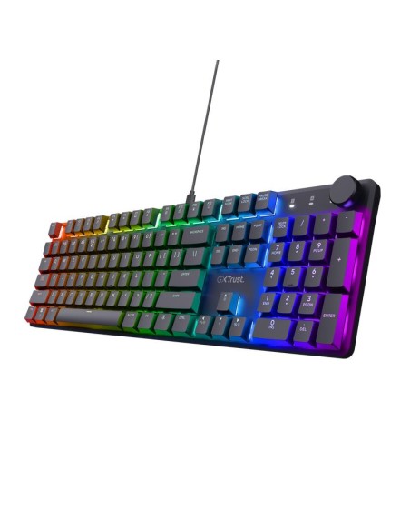 24910 KEYBOARD USB GXT866 TORIX/EN 24910 TRUST iš UAB SINTAS