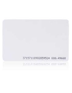 PSKPS301APLON ISO kortelė RFID S301A iš UAB SINTAS