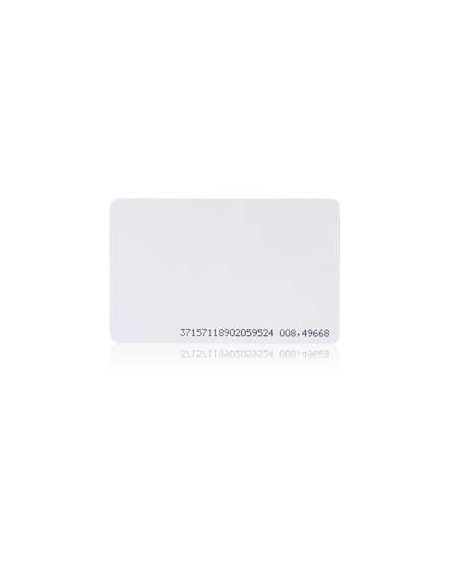 PSKPS301APLON ISO kortelė RFID S301A iš UAB SINTAS