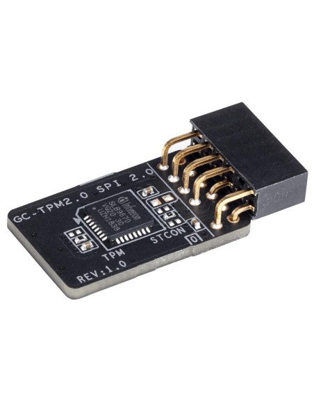 TPM2.0SPIV2.0 MB ACC TPM MODULE/TPM2.0 SPI V2.0 GIGABYTE iš UAB SINTAS