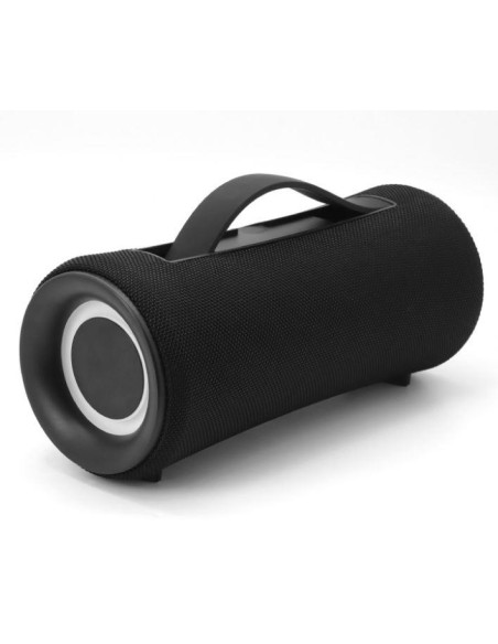 SPK-BT-LED-04 Portable Speaker|GEMBIRD|Black|Wireless|1xUSB-C|SPK-BT-LED-04 iš UAB SINTAS