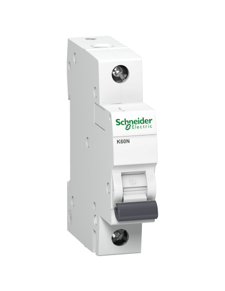 093596 Automatas 1P 25A C 6kA K60N Acti9 - SCHNEIDER ELECTRIC iš UAB SINTAS
