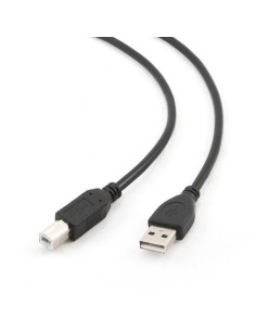 CCP-USB2-AMBM-10 CABLE USB2 AM-BM 3M/BLACK CCP-USB2-AMBM-10 GEMBIRD iš UAB SINTAS