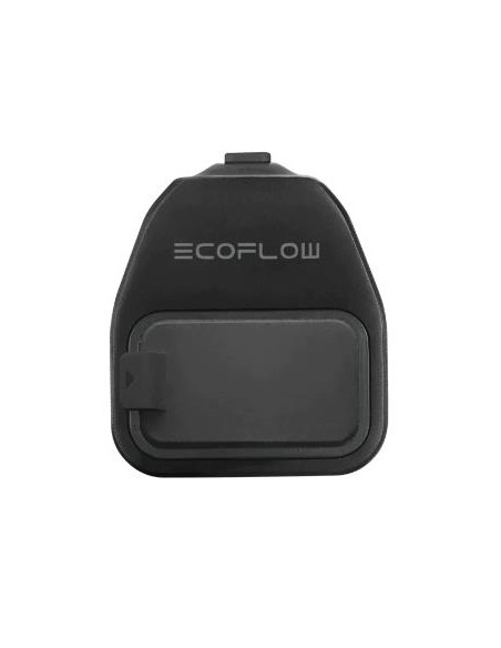 5005001001 POWER STATION ACC SMART GENER./ADAPTER 5005001001 ECOFLOW iš UAB SINTAS