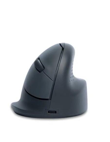 RGOHEBAMRWL MOUSE USB OPTICAL WRL BASIC/R. GREY RGOHEBAMRWL R-GO TOOLS iš UAB SINTAS