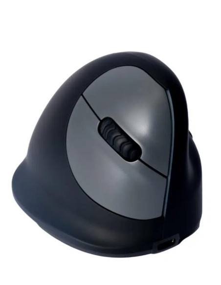 RGOHELAWL MOUSE USB OPTICAL WRL/RIGHT BLK RGOHELAWL R-GO TOOLS iš UAB SINTAS