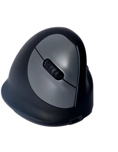 RGOHEWL MOUSE USB OPTICAL WRL/RIGHT BLACK RGOHEWL R-GO TOOLS iš UAB SINTAS