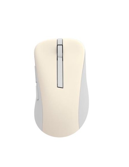 90XB0900-BMU020 MOUSE USB OPTICAL WRL MD102/BEIGE 90XB0900-BMU000 ASUS iš UAB SINTAS
