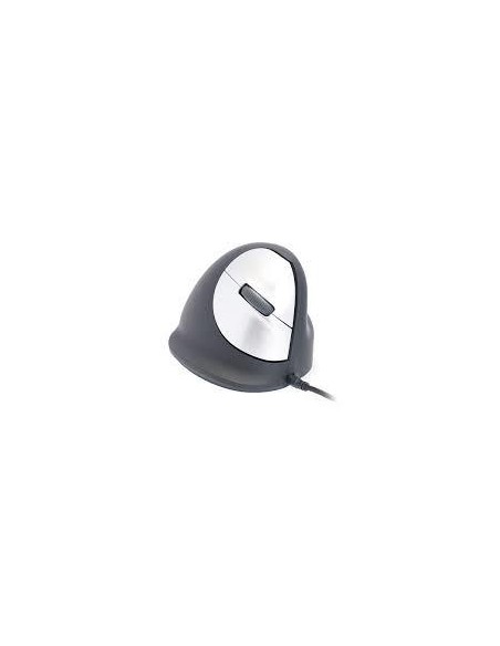 RGOHE MOUSE USB OPTICAL BREAK/R. BLACK RGOHE R-GO TOOLS iš UAB SINTAS