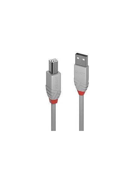 CABLE USB2 A-B 2M/ANTHRA GREY36683 LINDY