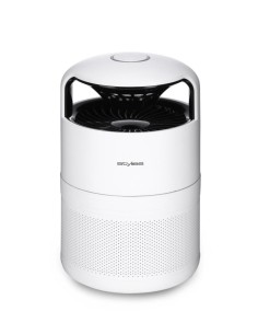 MOSQUITO TRAP PICTORIS/COP001121 STYLIES