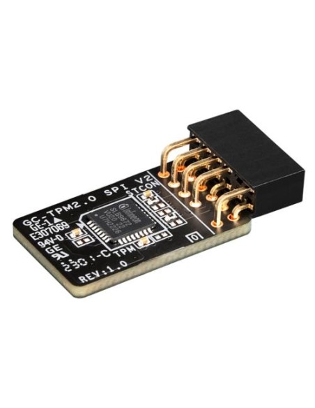 MB ACC TPM MODULE/GC-TPM2.0 SPI V2 1.0 GIGABYTE