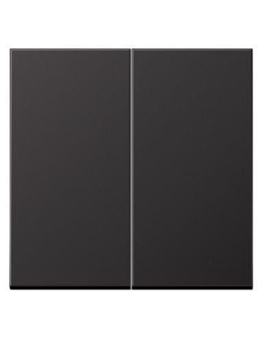 ➤ 2 kl. apdaila JUNG AL2995D (juoda, lakuota spalva)