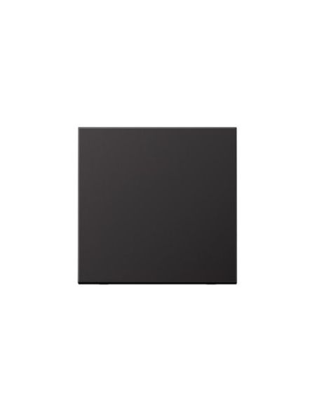 ➤ 1 kl. apdaila JUNG AL2990D (juodas, lakuotas aliuminis) 