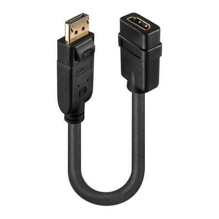 41005 I/O CONVERTER DP TO HDMI/41005 LINDY iš UAB SINTAS