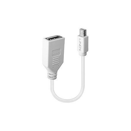 41021 ADAPTER MINI DP TO DP/0.2M 41021 LINDY iš UAB SINTAS